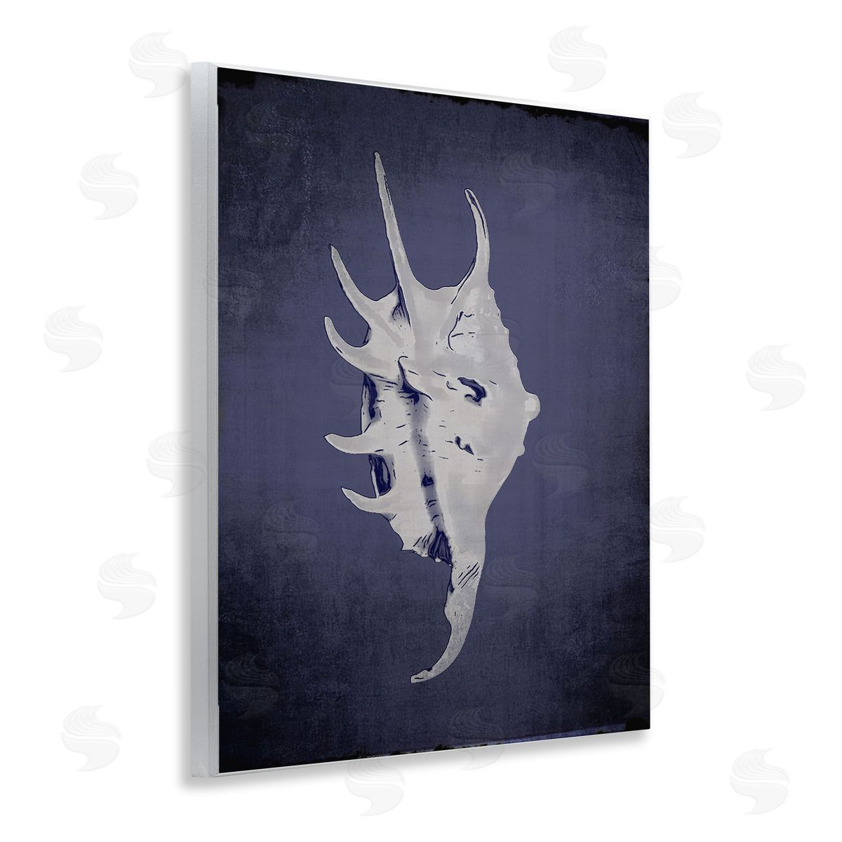 Spider Conch on Indigo Wood Plaque Wall Art, Home Decor by Graffi*tee Studios
