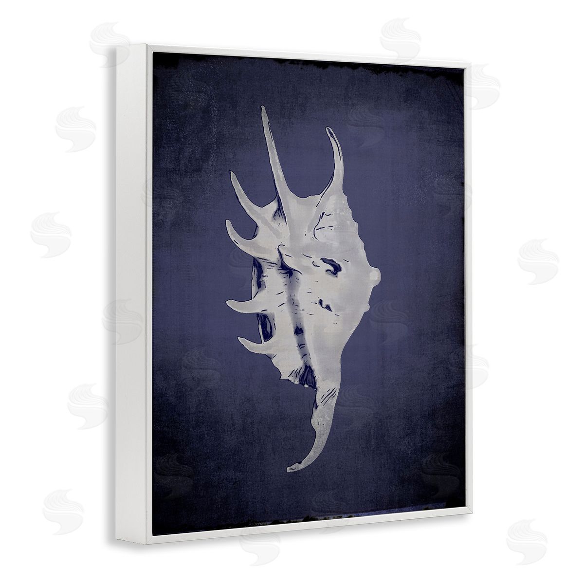 Spider Conch on Indigo White Frame Print Wall Art, Home Decor by Graffi*tee Studios