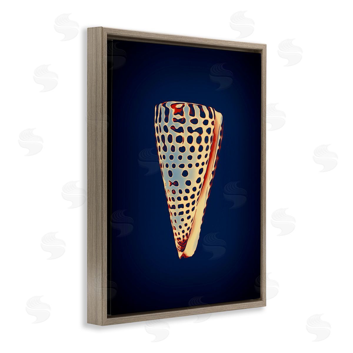 Cone Shell on Blue Brown Floating Frame Canvas Wall Art, Home Decor by Graffi*tee Studios