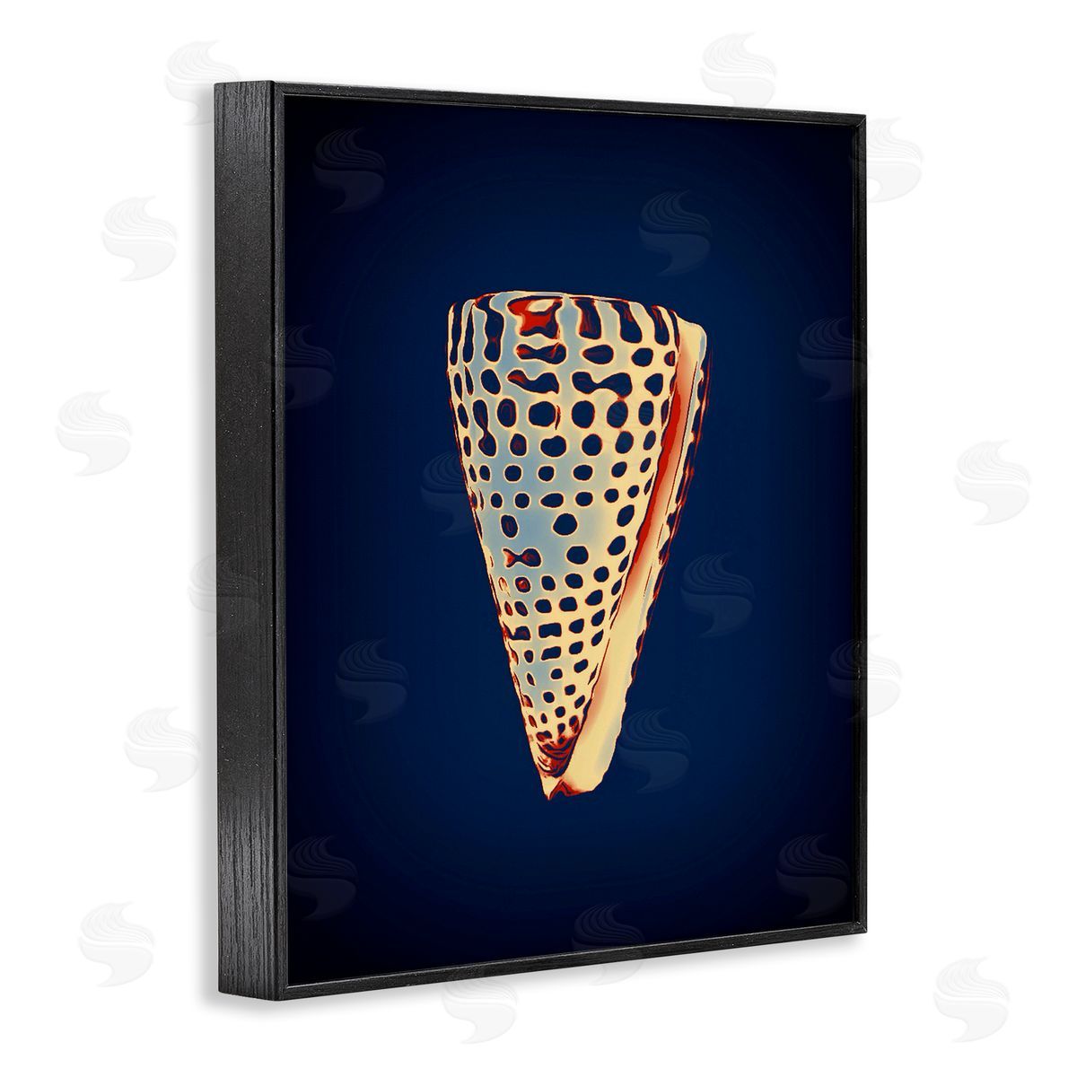 Cone Shell on Blue Black Frame Print Wall Art, Home Decor by Graffi*tee Studios