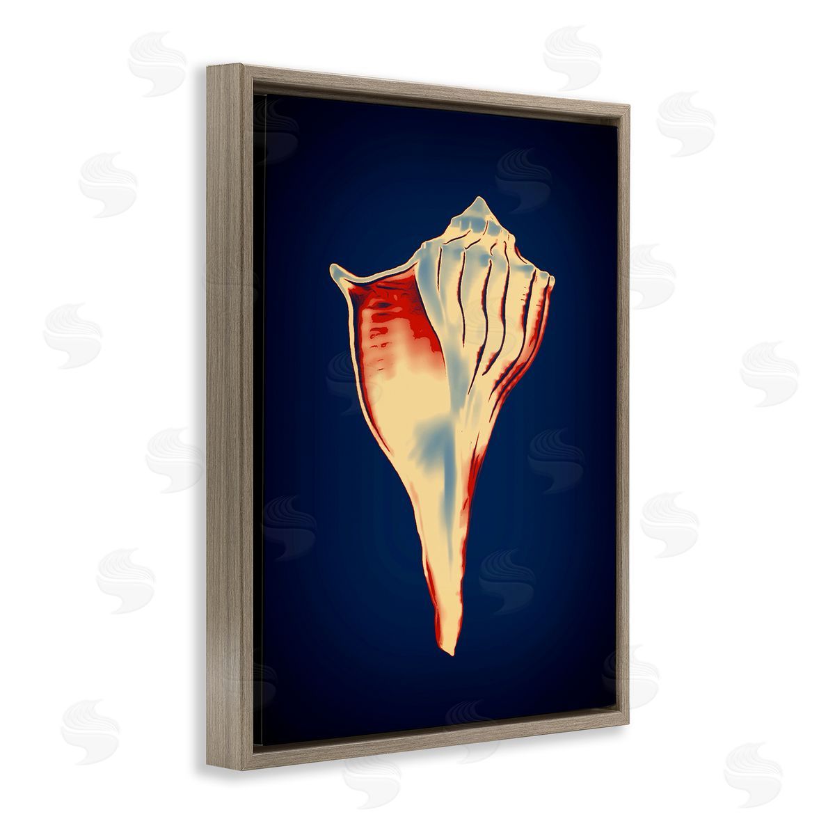 Lightning Whelk on Blue Brown Floating Frame Canvas Wall Art, Home Decor by Graffi*tee Studios