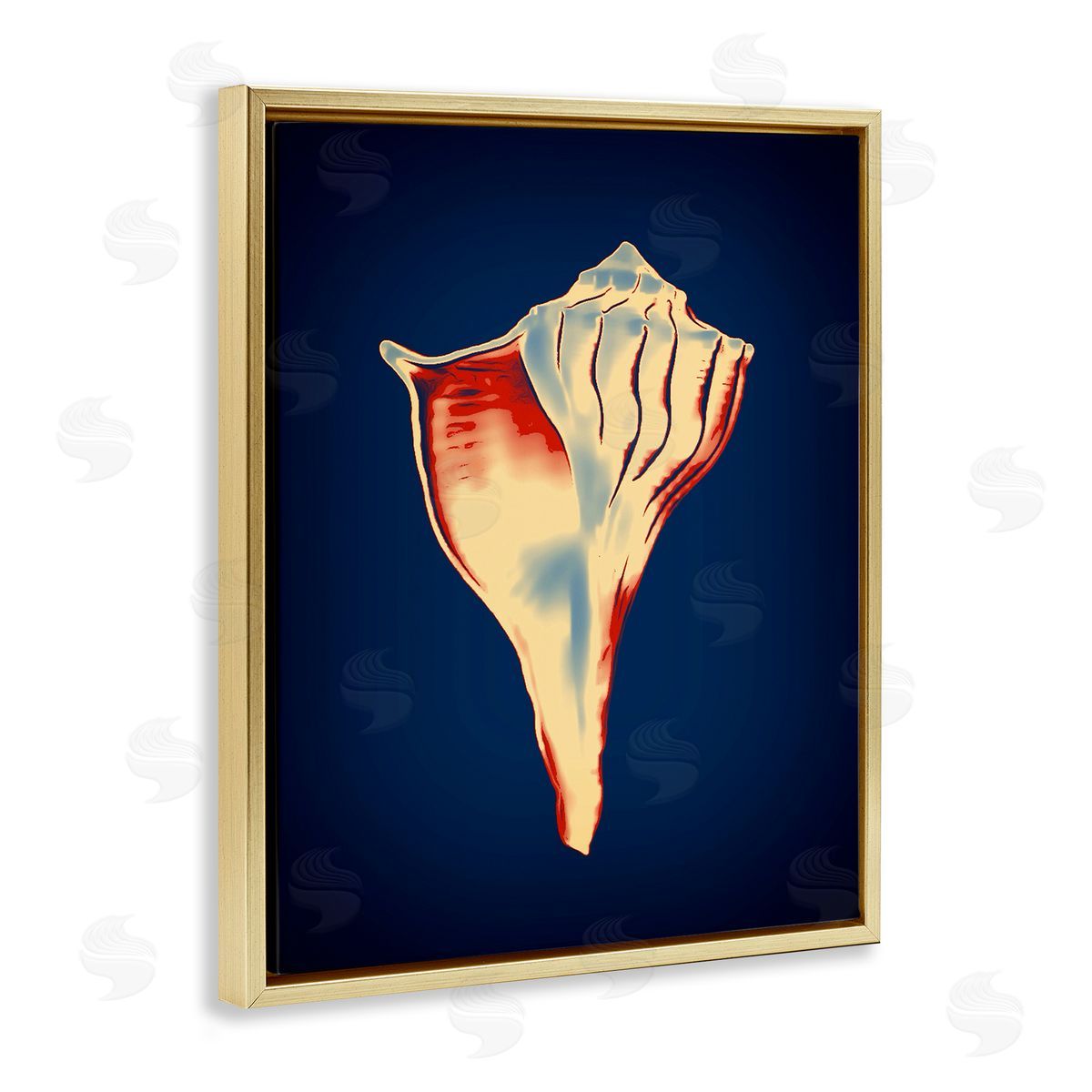 Lightning Whelk on Blue Gold Floating Frame Canvas Wall Art, Home Decor by Graffi*tee Studios