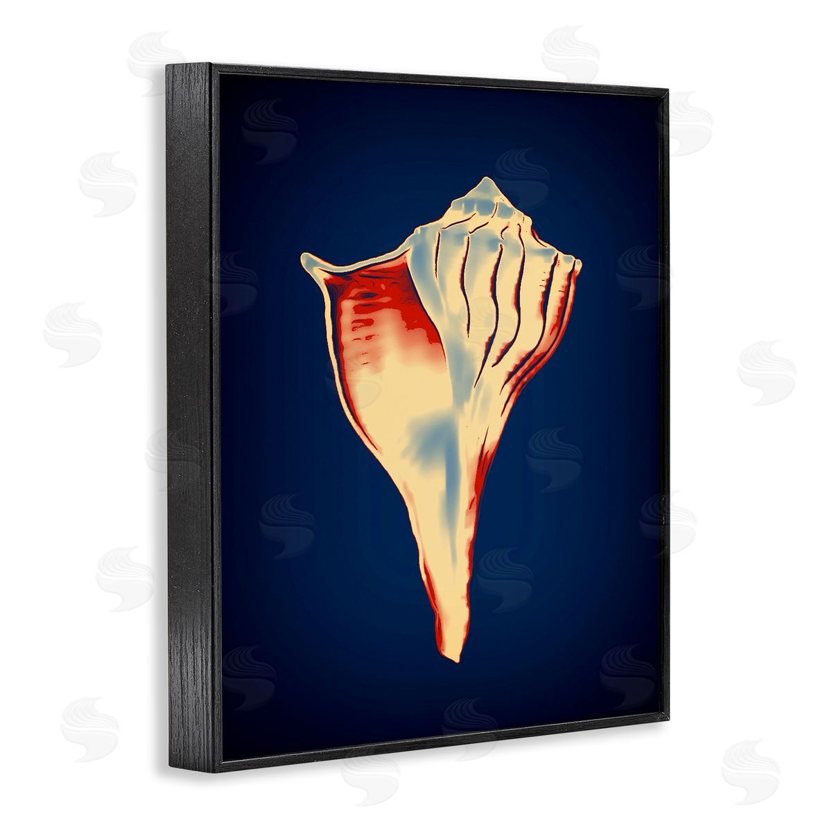 Lightning Whelk on Blue Black Frame Print Wall Art, Home Decor by Graffi*tee Studios