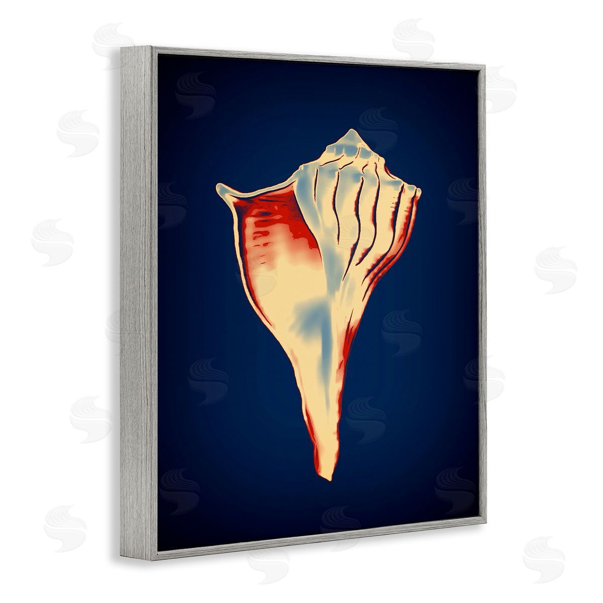 Lightning Whelk on Blue Grey Frame Print Wall Art, Home Decor by Graffi*tee Studios