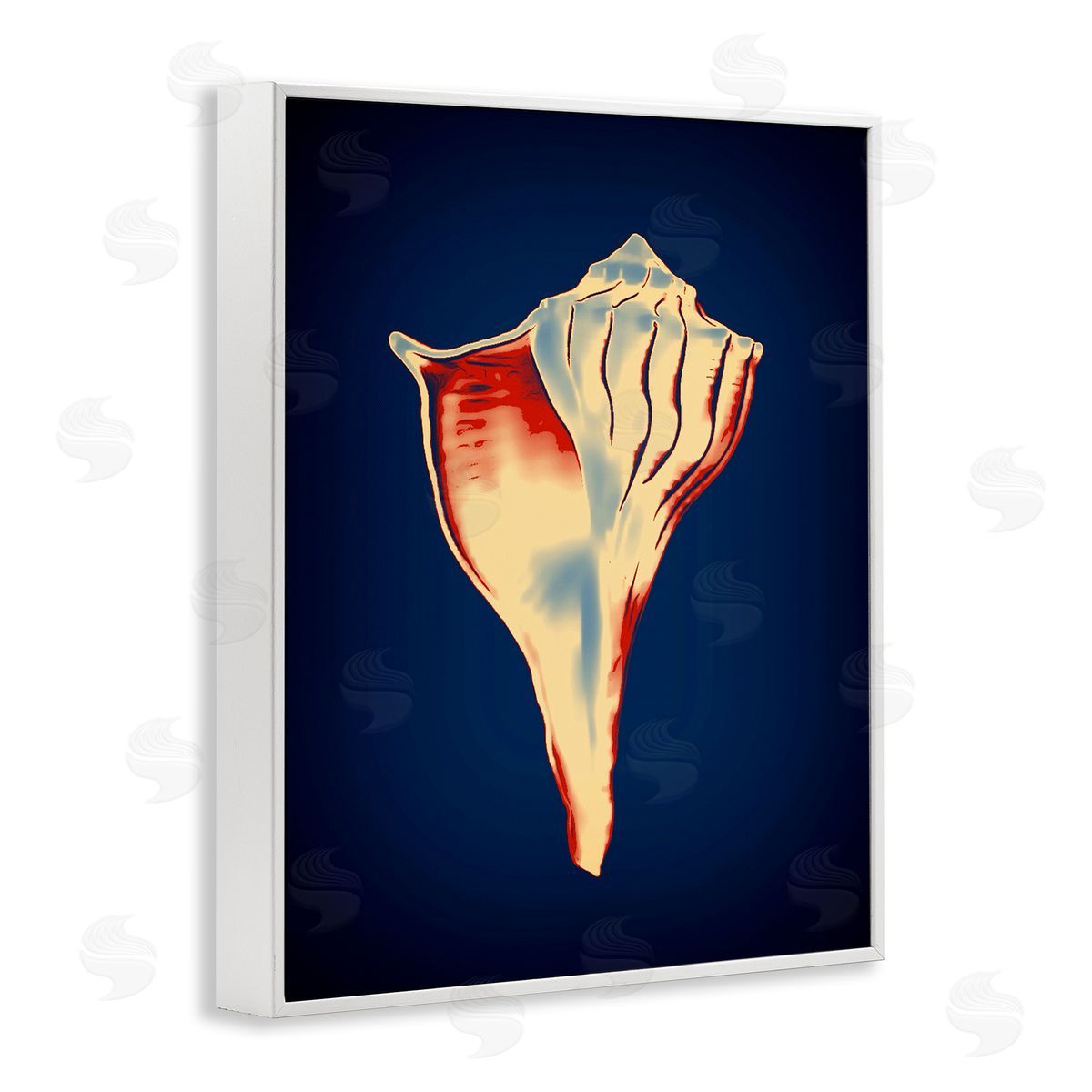 Lightning Whelk on Blue White Frame Print Wall Art, Home Decor by Graffi*tee Studios