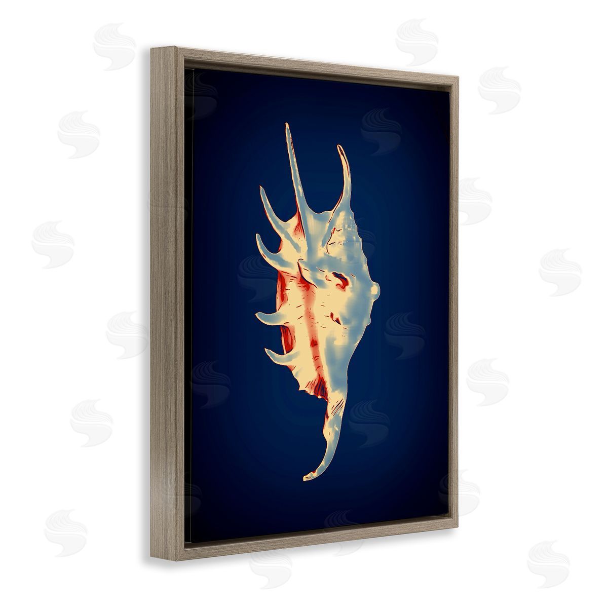 Spider Conch on Blue Brown Floating Frame Canvas Wall Art, Home Decor by Graffi*tee Studios