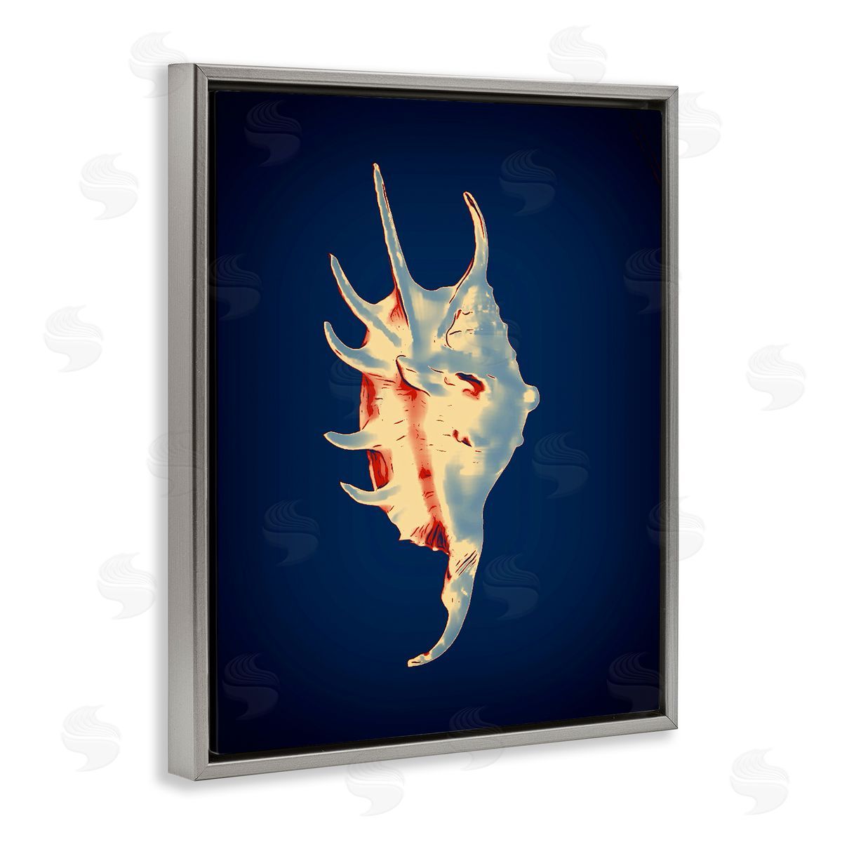 Spider Conch on Blue Grey Floating Frame Canvas Wall Art, Home Decor by Graffi*tee Studios