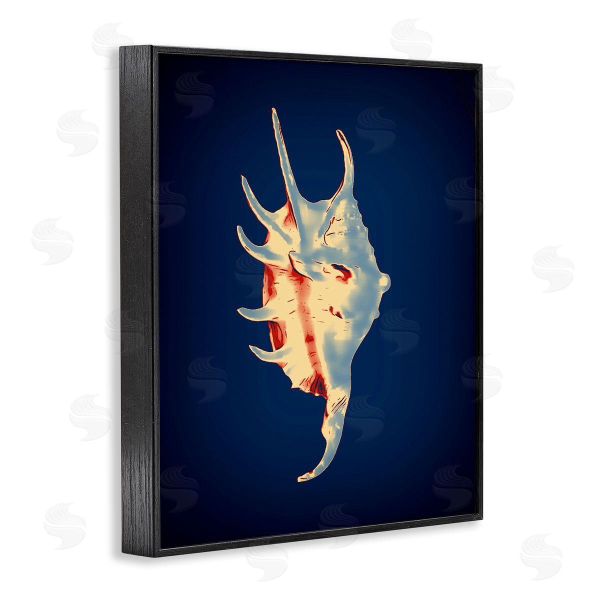 Spider Conch on Blue Black Frame Print Wall Art, Home Decor by Graffi*tee Studios