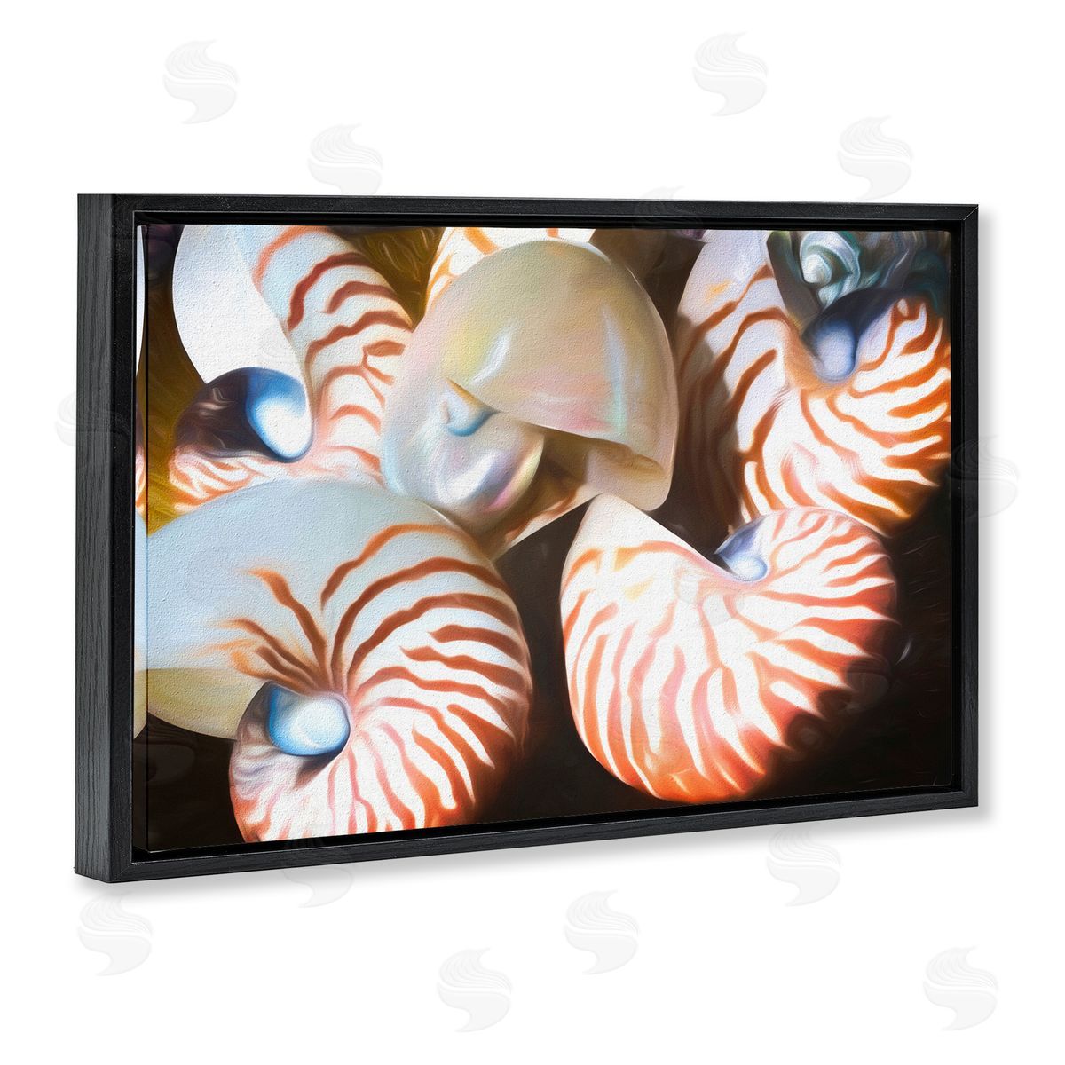 Nautilus Shells Cluster Black Floating Frame Canvas Wall Art, Home Decor by Graffi*tee Studios