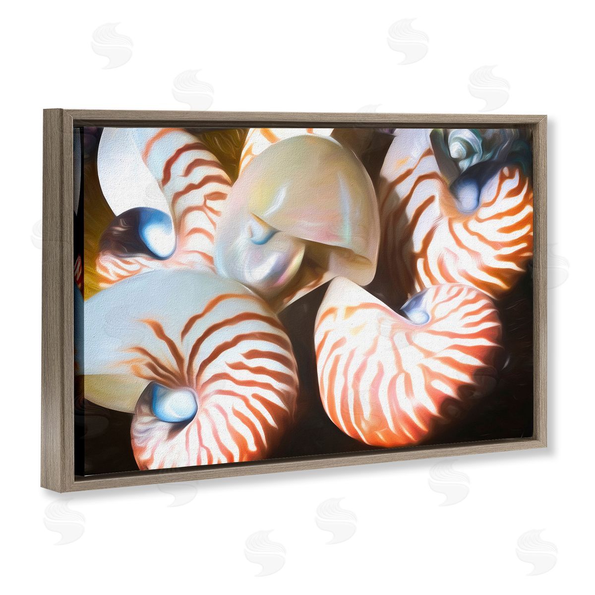 Nautilus Shells Cluster Brown Floating Frame Canvas Wall Art, Home Decor by Graffi*tee Studios
