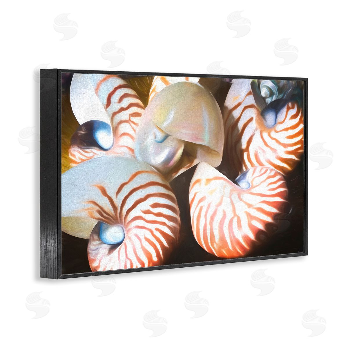 Nautilus Shells Cluster Black Frame Print Wall Art, Home Decor by Graffi*tee Studios