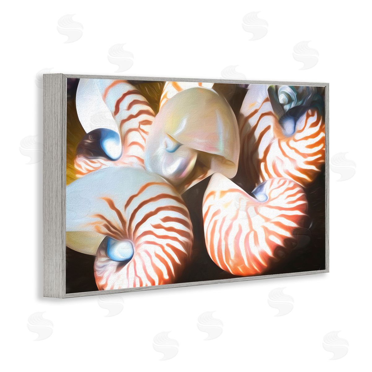 Nautilus Shells Cluster Grey Frame Print Wall Art, Home Decor by Graffi*tee Studios