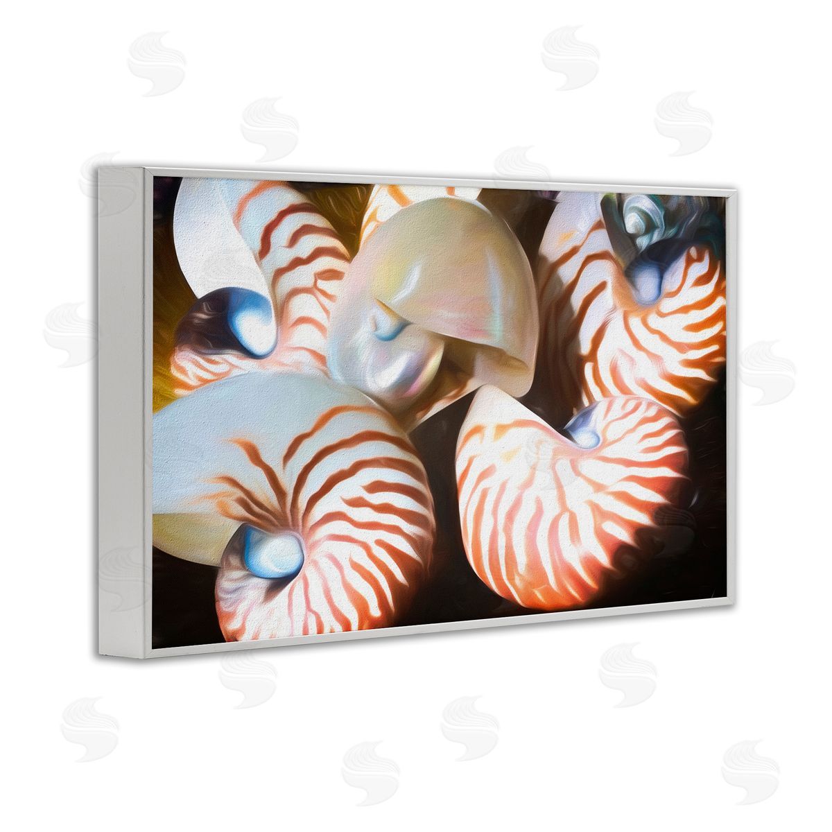 Nautilus Shells Cluster White Frame Print Wall Art, Home Decor by Graffi*tee Studios