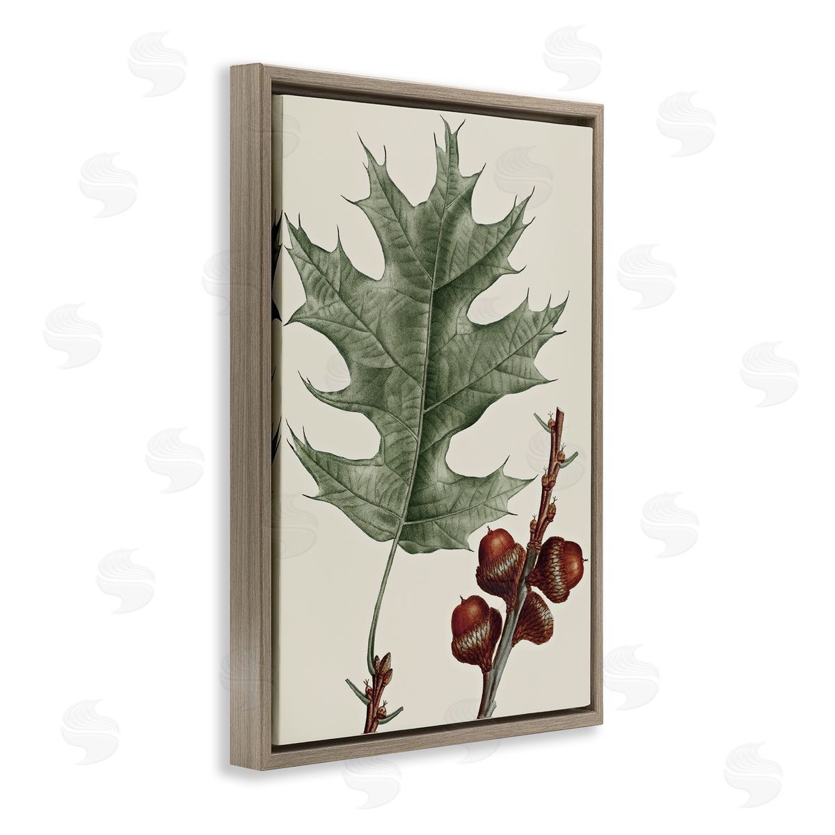 Vintage Black Oak Leaf Brown Floating Frame Canvas Wall Art, Home Decor by Graffi*tee Studios