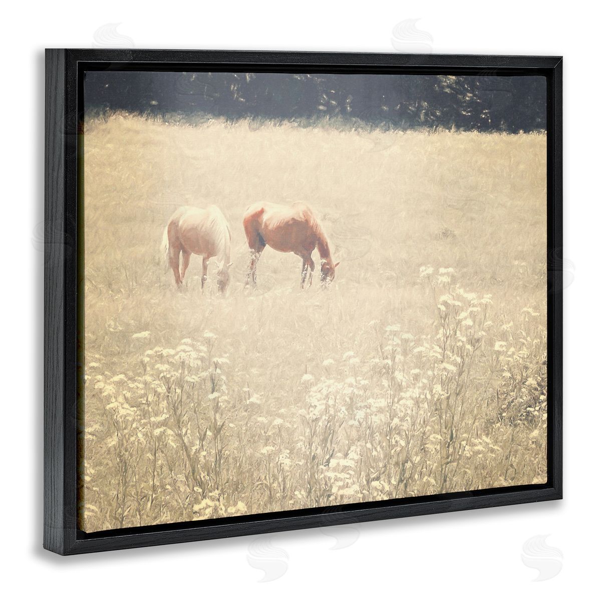 Graffitee Studios Pair of Horses Grazing Black Floating Frame Canvas Wall Art Print
