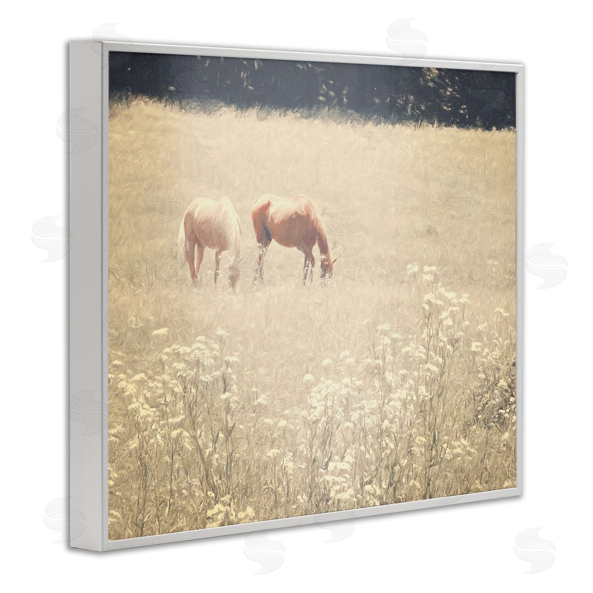 Graffitee Studios Pair of Horses Grazing White Framed Giclee Wall Art Print