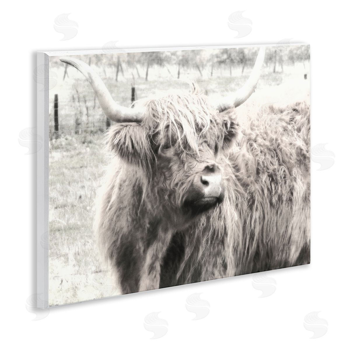 Highland Cow Gazing Portrait Wood Plaque Wall Art, Home Decor by Graffi*tee Studios