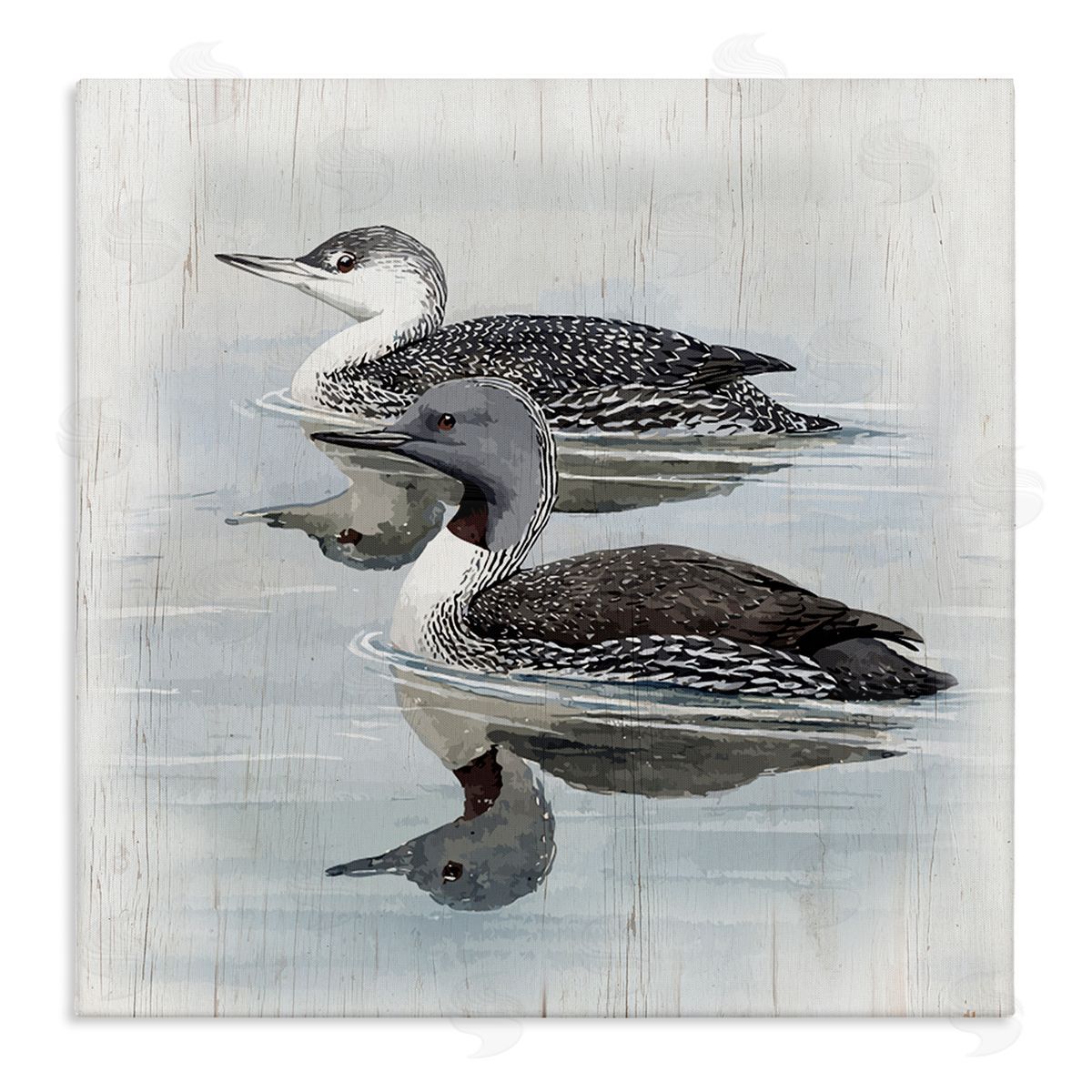 Susan Jill Twin Loons in Water Canvas Wall Art Print