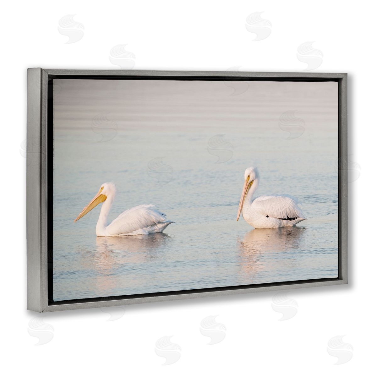 Pelicans on Calm Waters Grey Floating Frame Canvas Wall Art, Home Decor by Danita Delimont