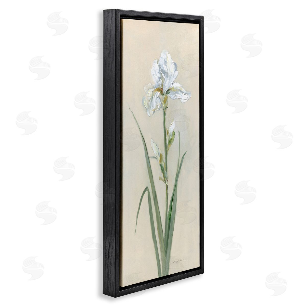 White Iris on Beige Black Floating Frame Canvas Wall Art, Home Decor by Sally Swatland
