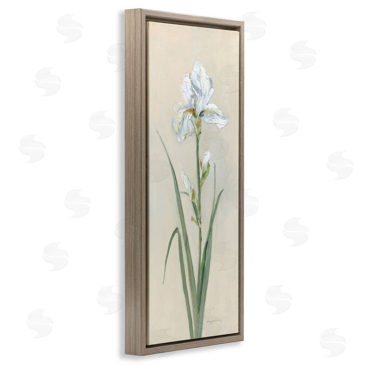 White Iris on Beige Brown Floating Frame Canvas Wall Art, Home Decor by Sally Swatland
