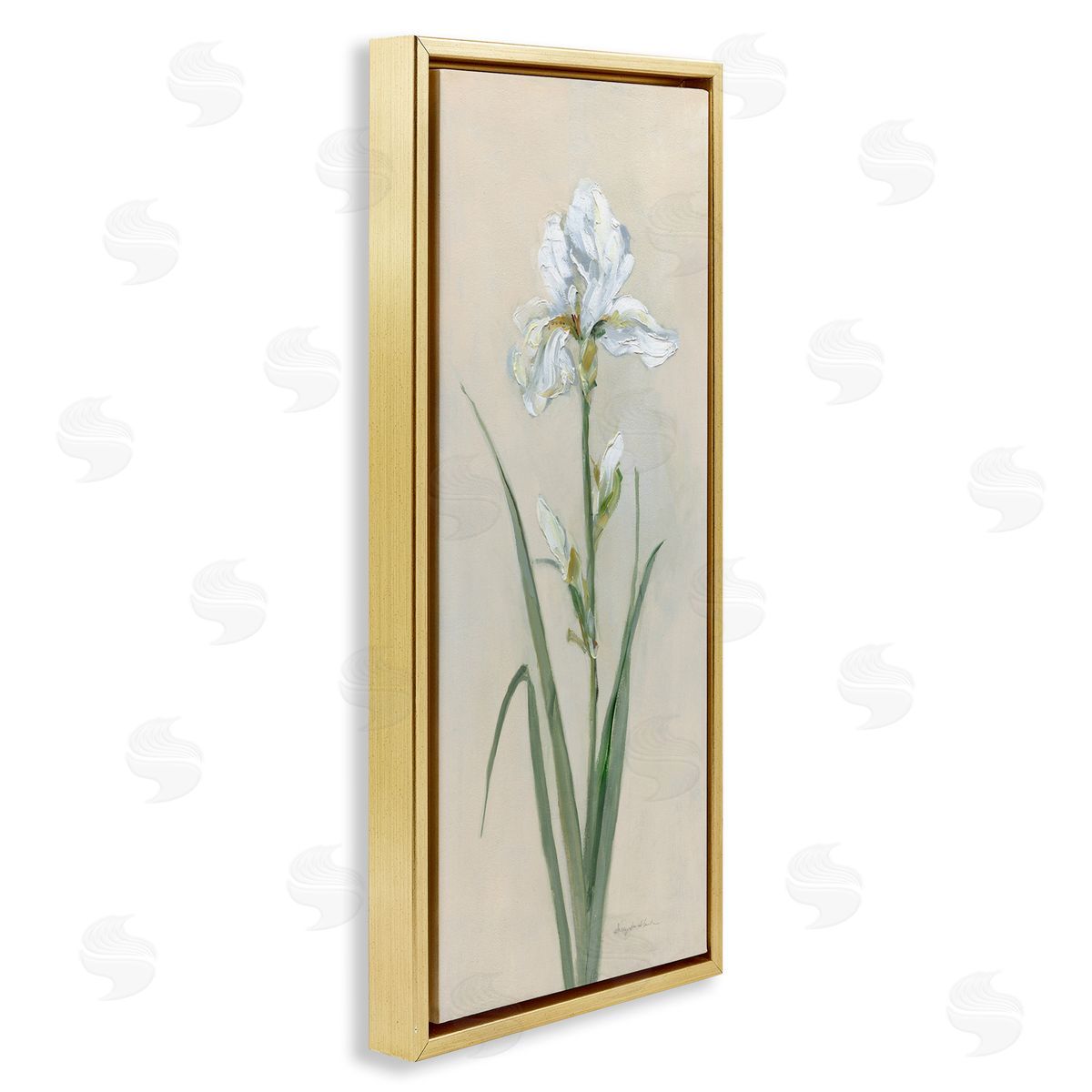 White Iris on Beige Gold Floating Frame Canvas Wall Art, Home Decor by Sally Swatland