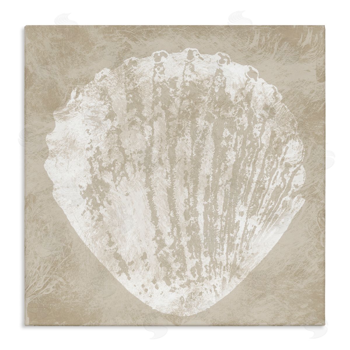 Carol Robinson Rustic Distressed Seashell Canvas Wall Art Print
