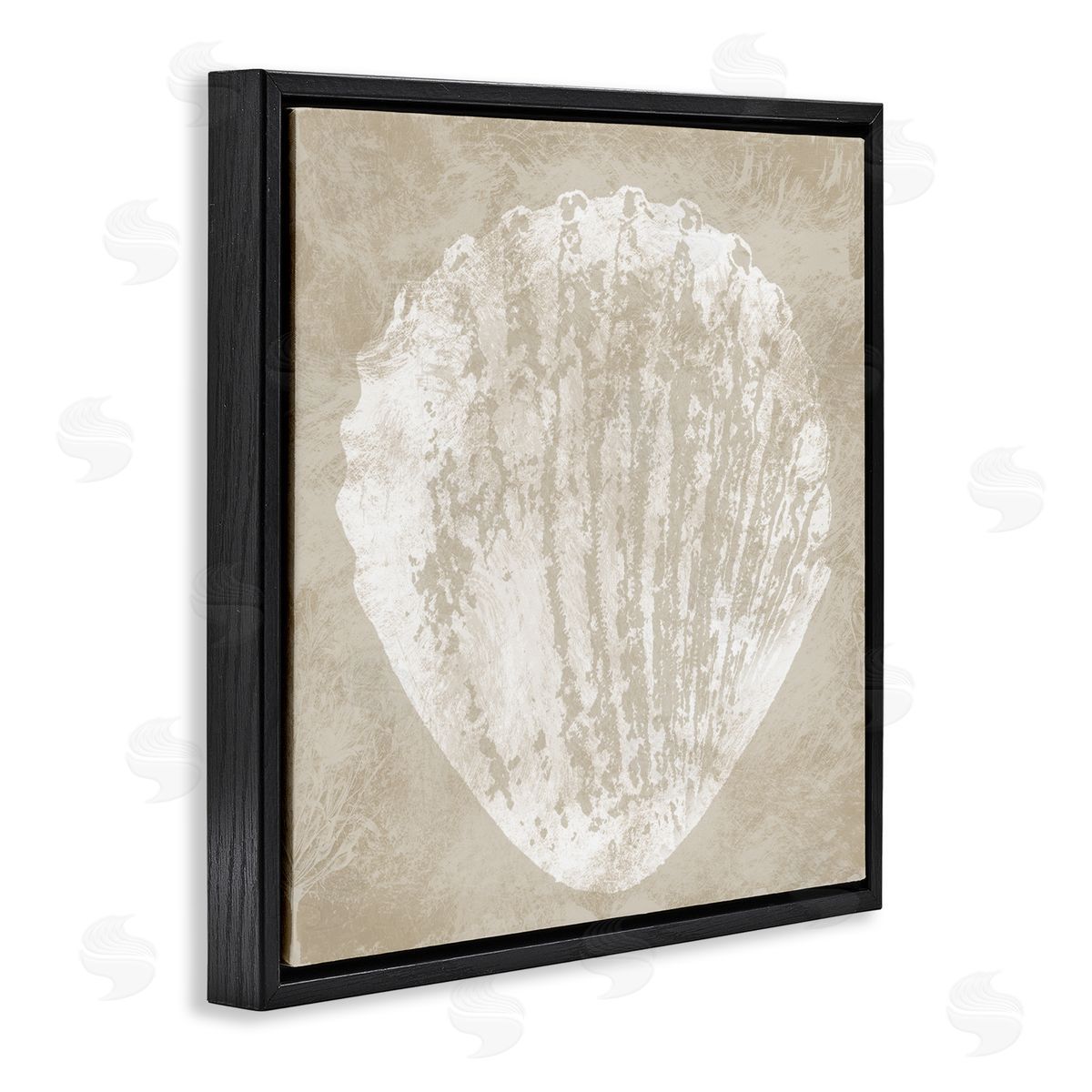 Carol Robinson Rustic Distressed Seashell Black Floating Frame Canvas Wall Art Print
