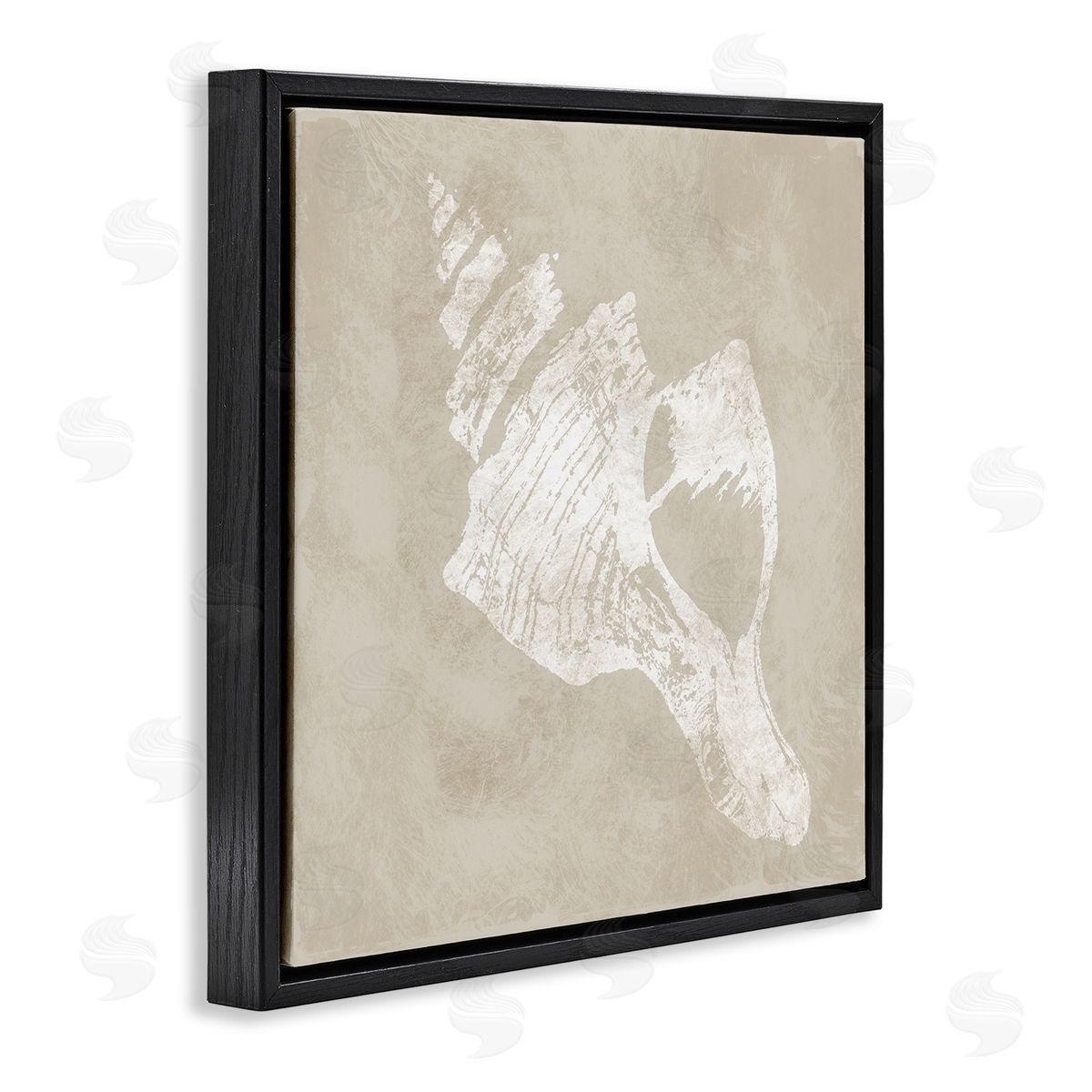 Carol Robinson Rustic Distressed Conch Black Floating Frame Canvas Wall Art Print