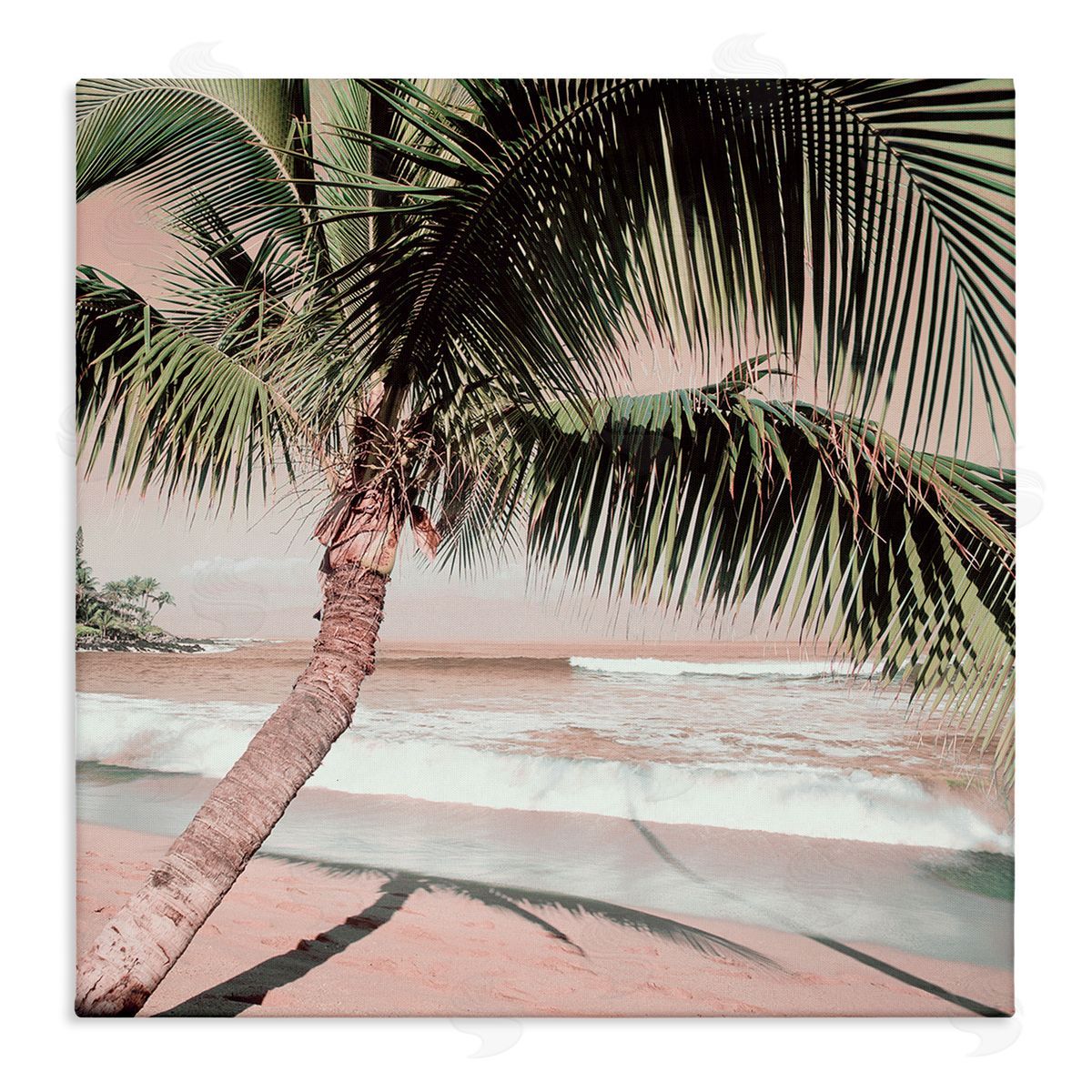 Danita Delimont Palm Tree Shadow on Sand Canvas Wall Art Print