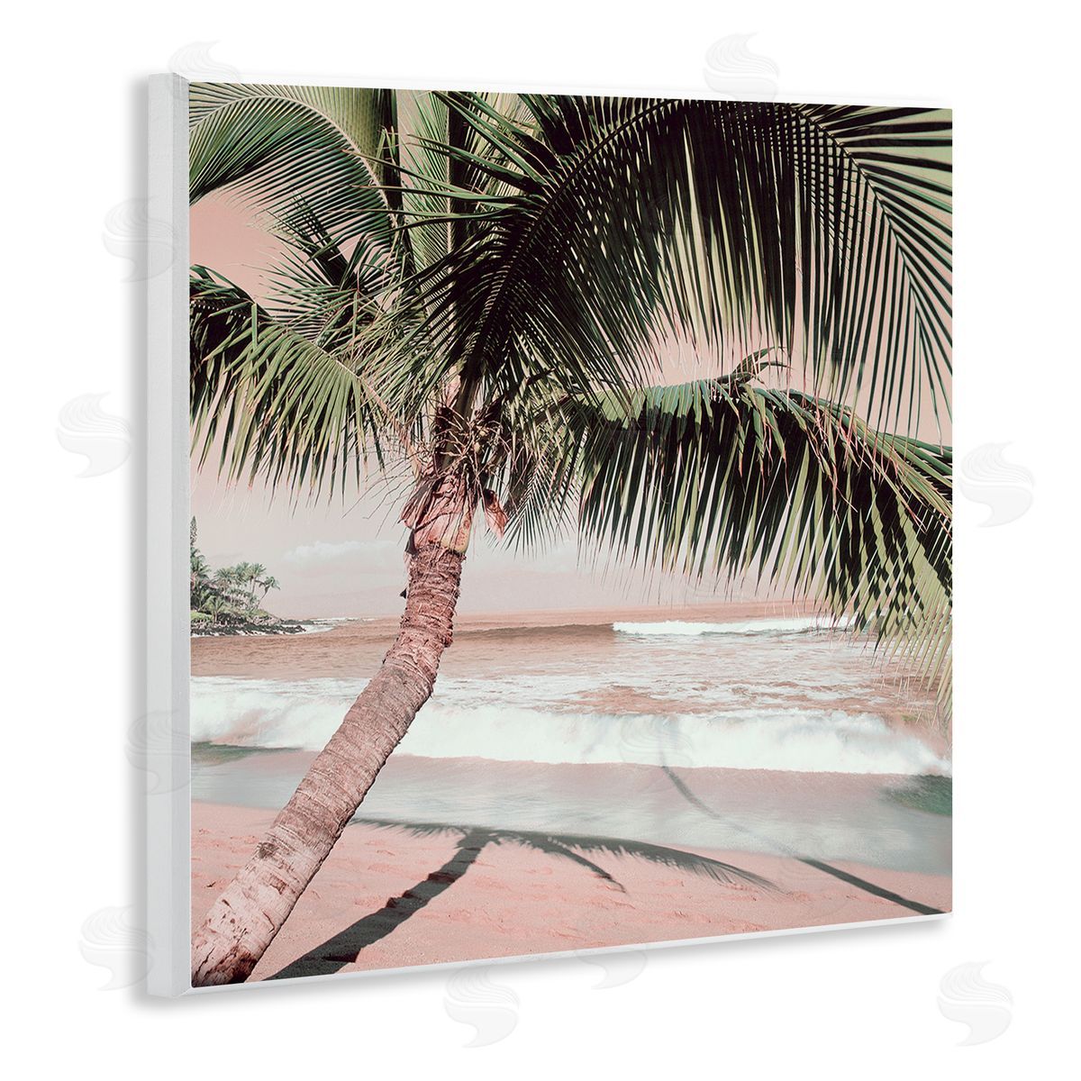 Danita Delimont Palm Tree Shadow on Sand Wooden Wall Plaque Art Print