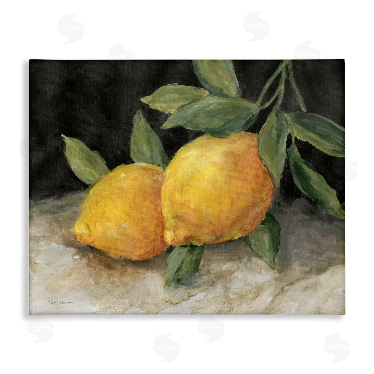 Carol Robinson Pair of Lemons Still Life Canvas Wall Art Print