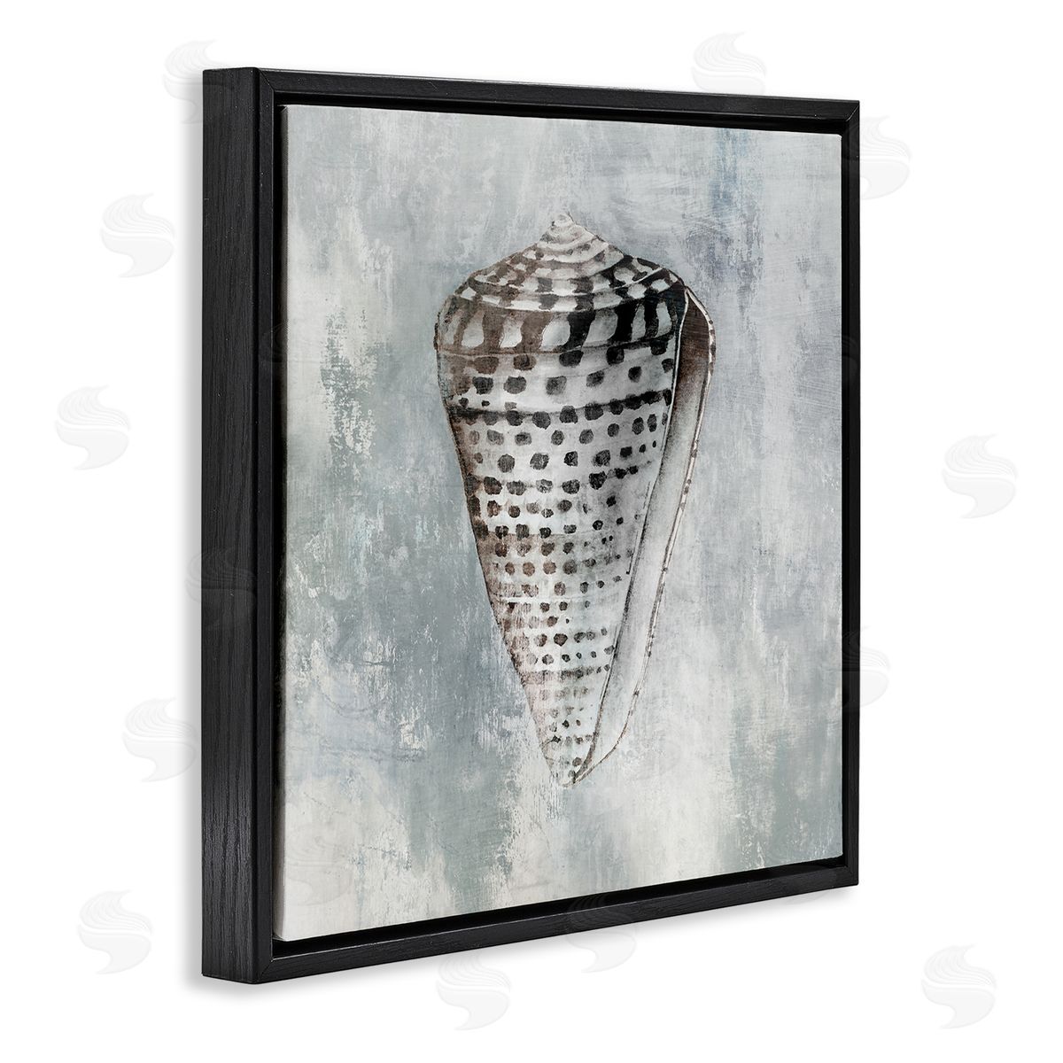 Organic Cowrie Shell Black Floating Frame Canvas Wall Art, Home Decor by Eli Jones