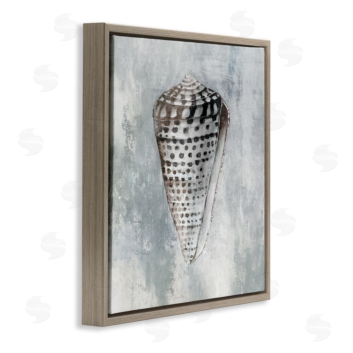 Organic Cowrie Shell Brown Floating Frame Canvas Wall Art, Home Decor by Eli Jones