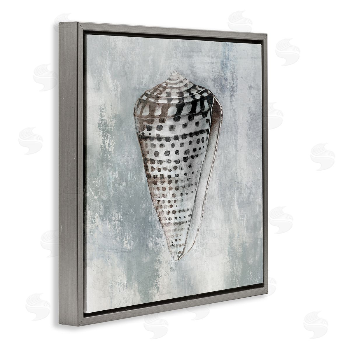 Organic Cowrie Shell Grey Floating Frame Canvas Wall Art, Home Decor by Eli Jones