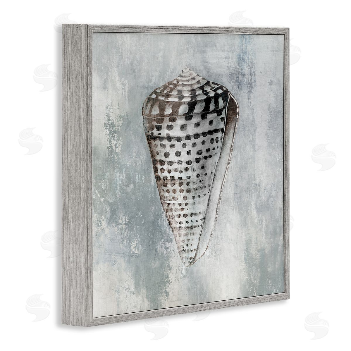 Organic Cowrie Shell Grey Frame Print Wall Art, Home Decor by Eli Jones
