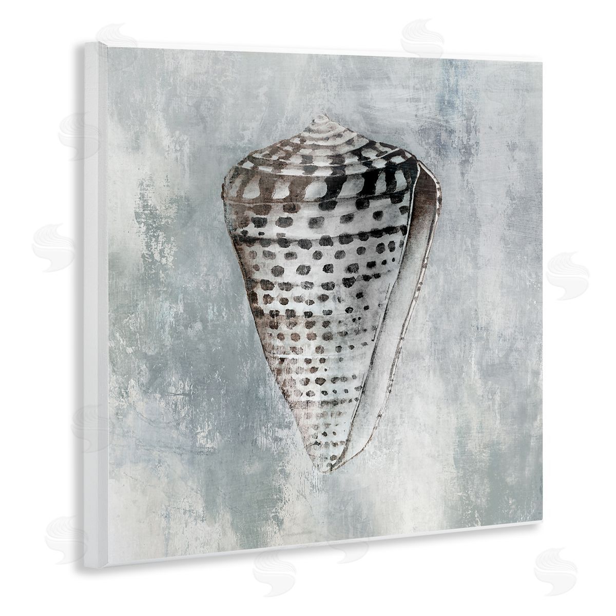 Organic Cowrie Shell Wood Plaque Wall Art, Home Decor by Eli Jones