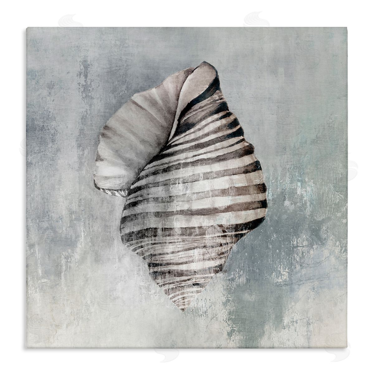 Organic Twisted Seashell Canvas Wall Art, Home Decor by Eli Jones