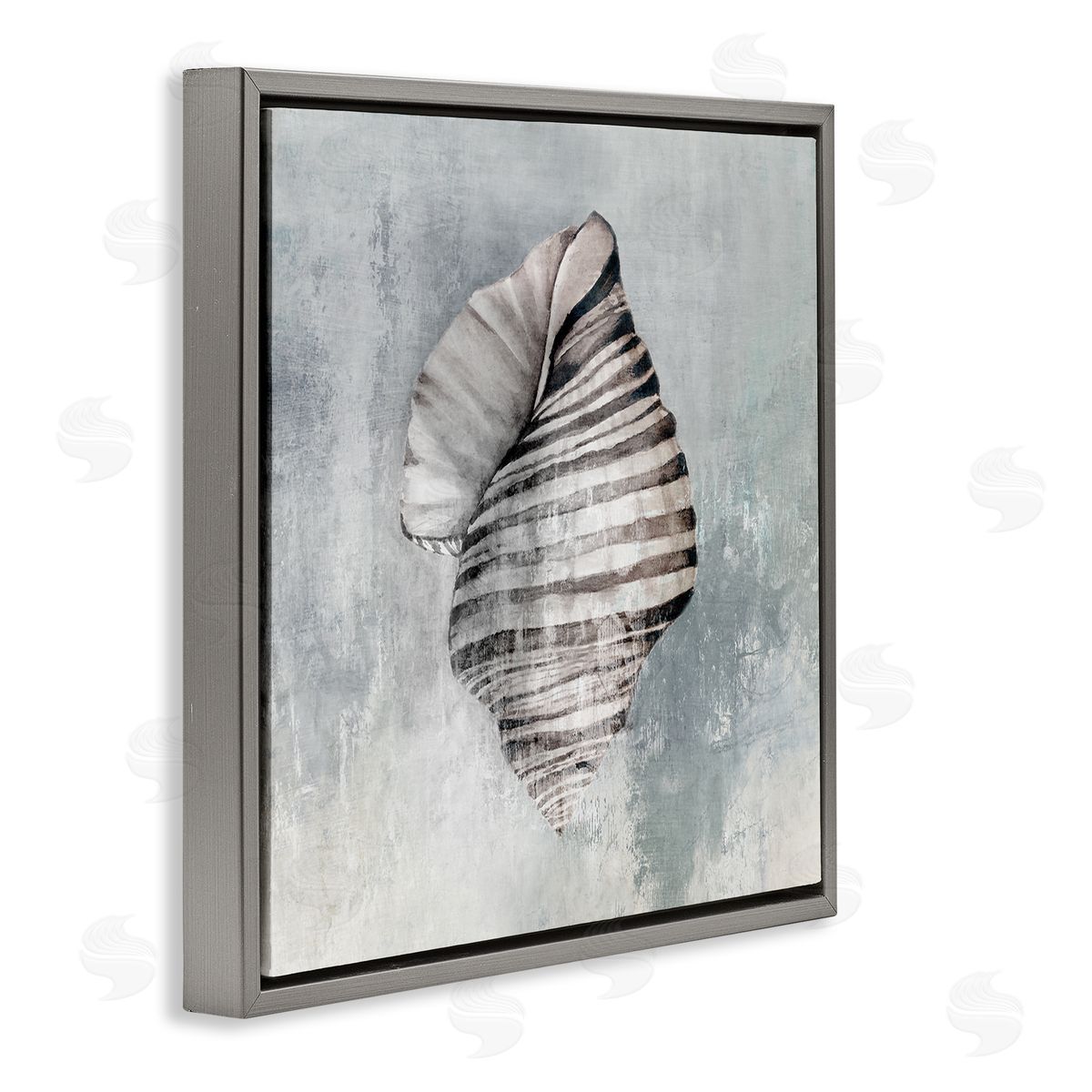 Organic Twisted Seashell Grey Floating Frame Canvas Wall Art, Home Decor by Eli Jones