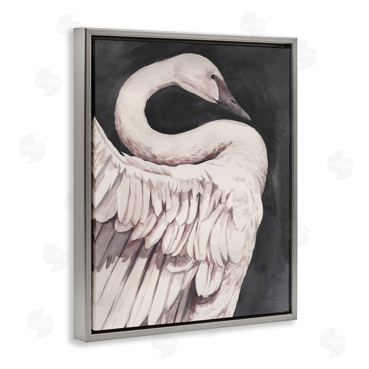 Swan Portrait on Grey Grey Floating Frame Canvas Wall Art, Home Decor by Grace Popp