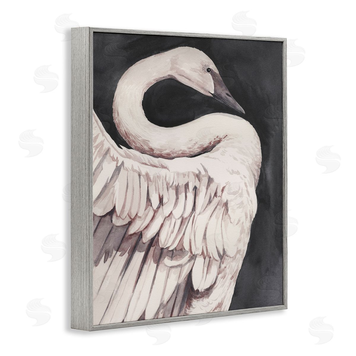 Swan Portrait on Grey Grey Frame Print Wall Art, Home Decor by Grace Popp