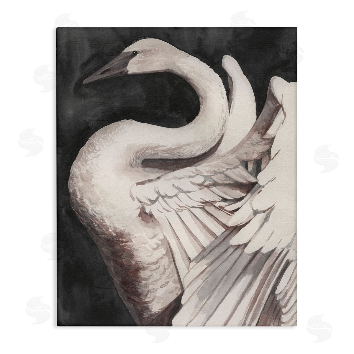 Swan Spreading Wings Canvas Wall Art, Home Decor by Grace Popp