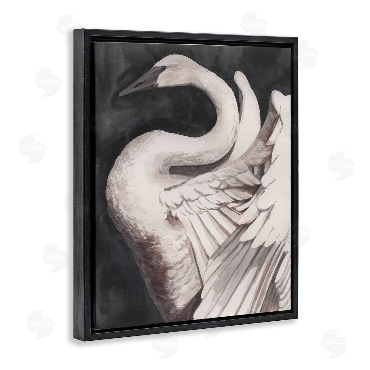Swan Spreading Wings Black Floating Frame Canvas Wall Art, Home Decor by Grace Popp