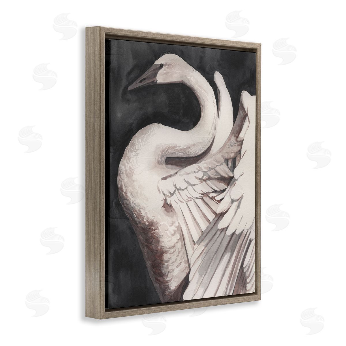 Swan Spreading Wings Brown Floating Frame Canvas Wall Art, Home Decor by Grace Popp