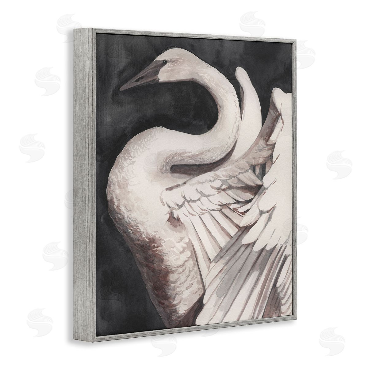Swan Spreading Wings Grey Frame Print Wall Art, Home Decor by Grace Popp