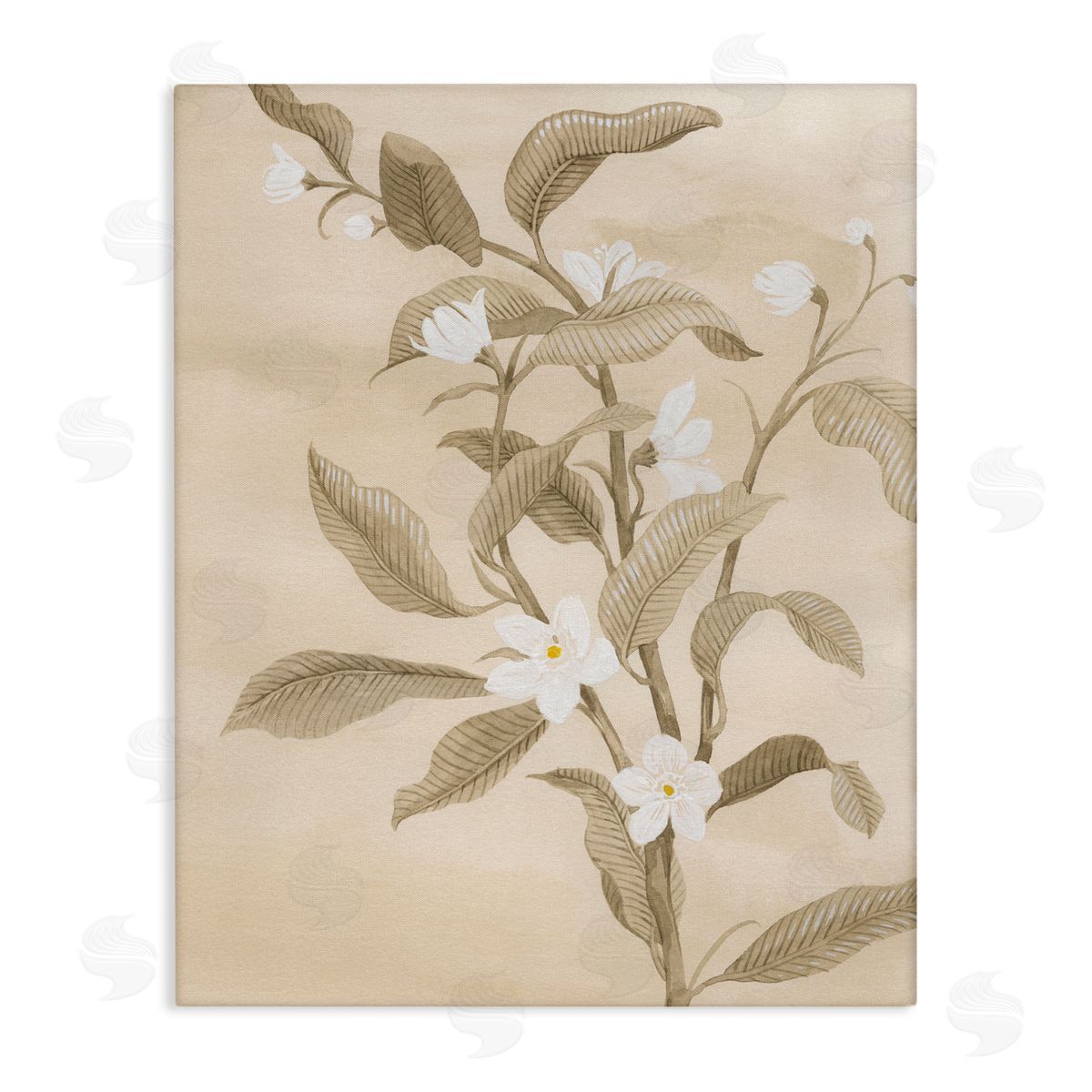 Neutral White Daffodils Canvas Wall Art, Home Decor by Grace Popp