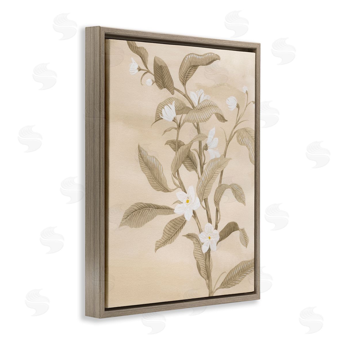 Neutral White Daffodils Brown Floating Frame Canvas Wall Art, Home Decor by Grace Popp