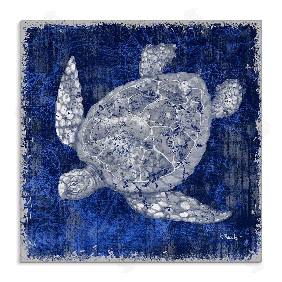 Rustic Indigo Turtle Canvas Wall Art, Home Decor by Paul Brent