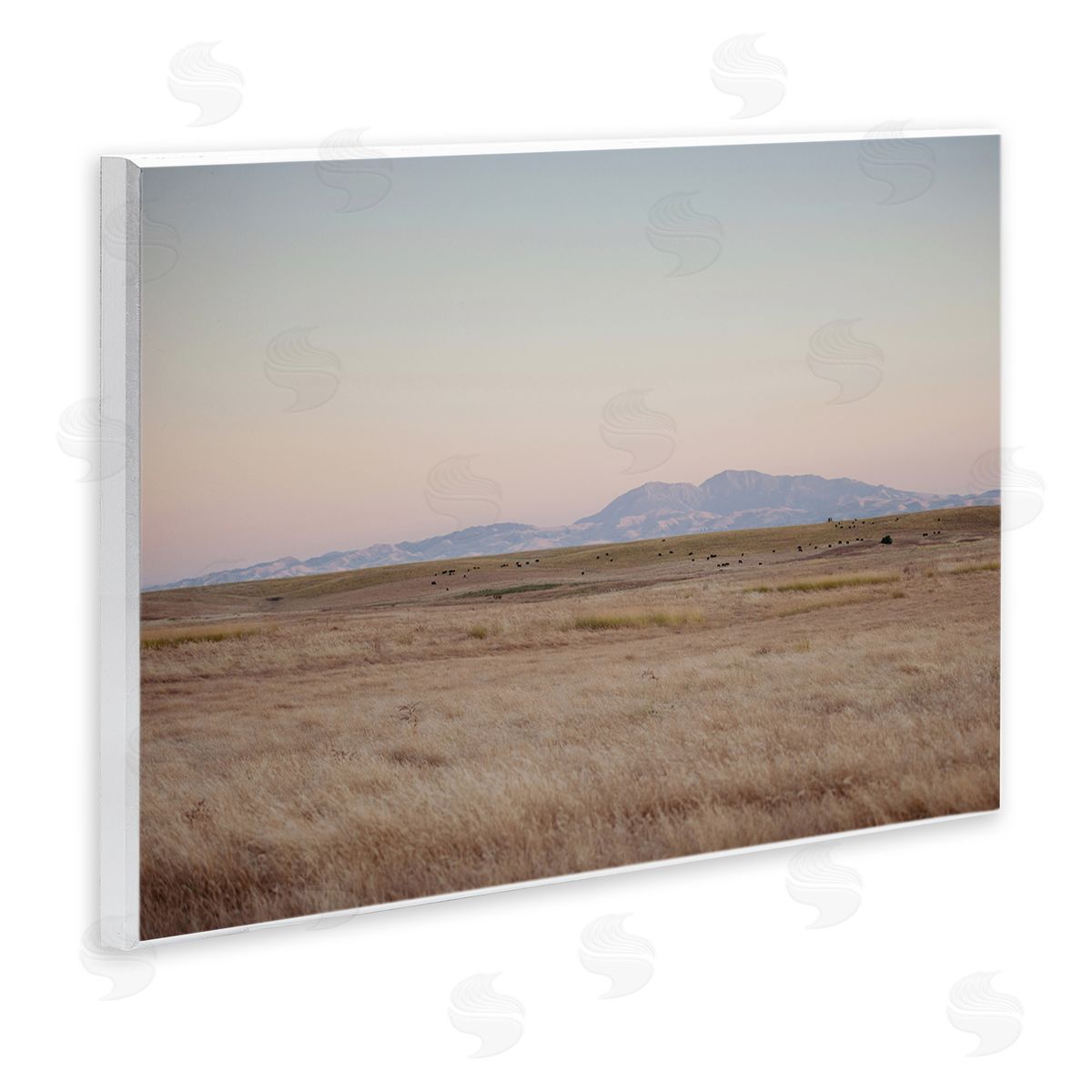 Grizzly Island View Wood Plaque Wall Art, Home Decor by Crystal Lynn Collins