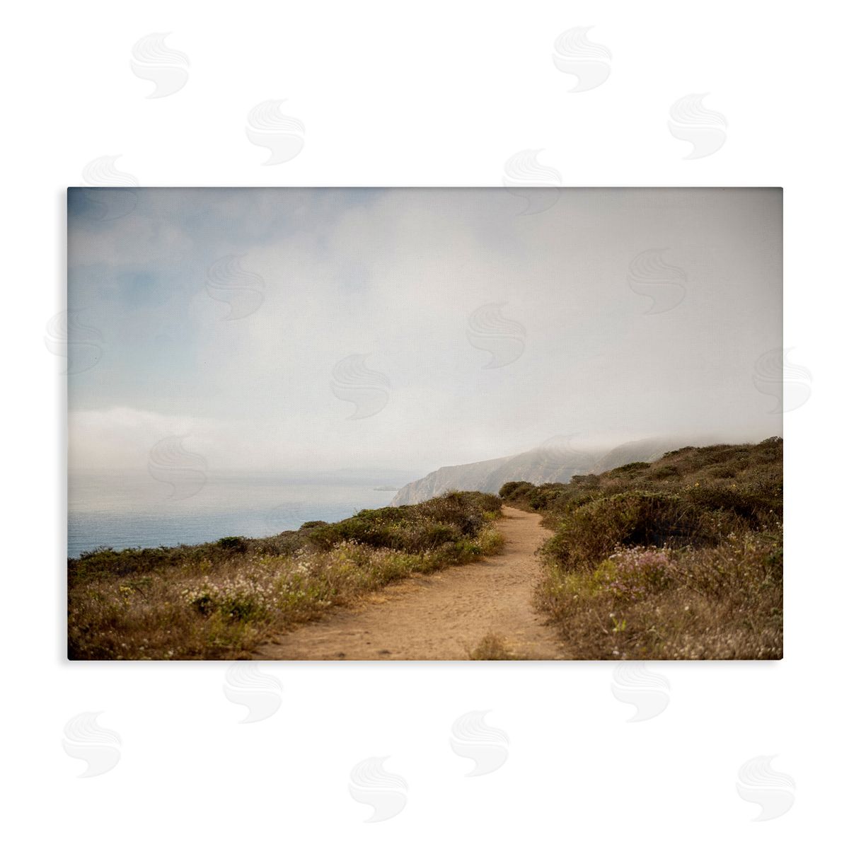 Wild Coast Pathway Canvas Wall Art, Home Decor by Crystal Lynn Collins
